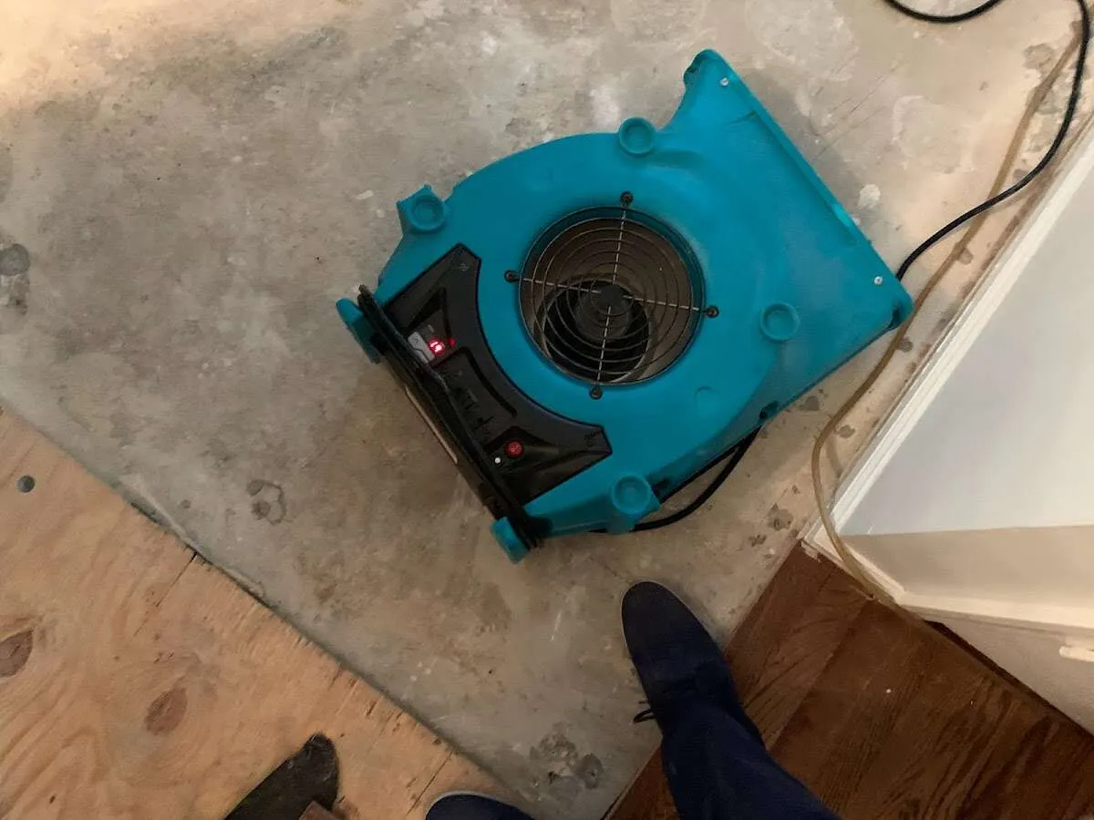 Air mover drying subfloor during Leak Detection & Repair in Swissvale